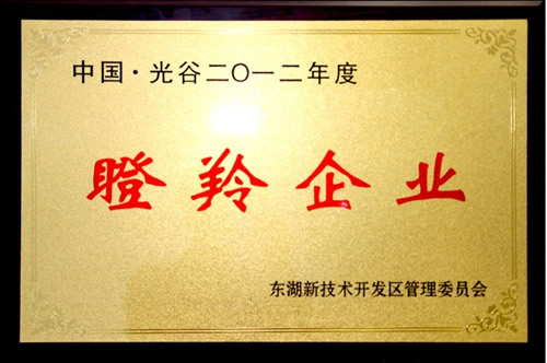 武汉来利国际AG旗舰厅光电成功入选2012年度瞪羚企业